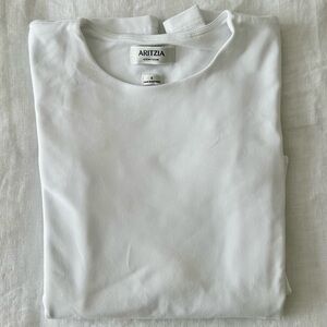 Aritzia Original Contour Splendid Crew Longsleeve